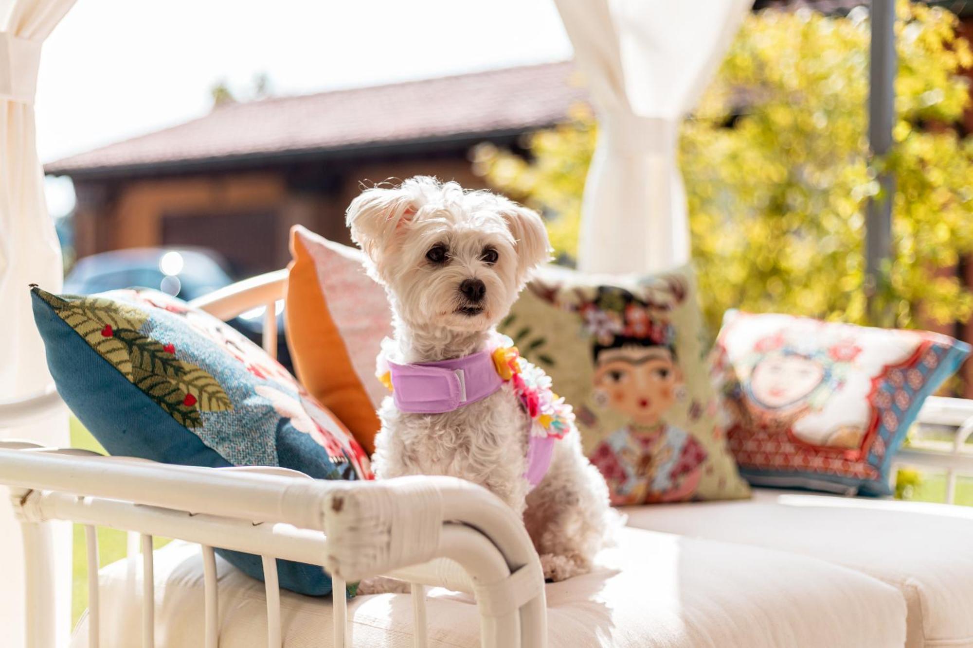 Sweet Dreams Bed & Breakfast 3*
